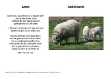 Lamm-Hey.pdf